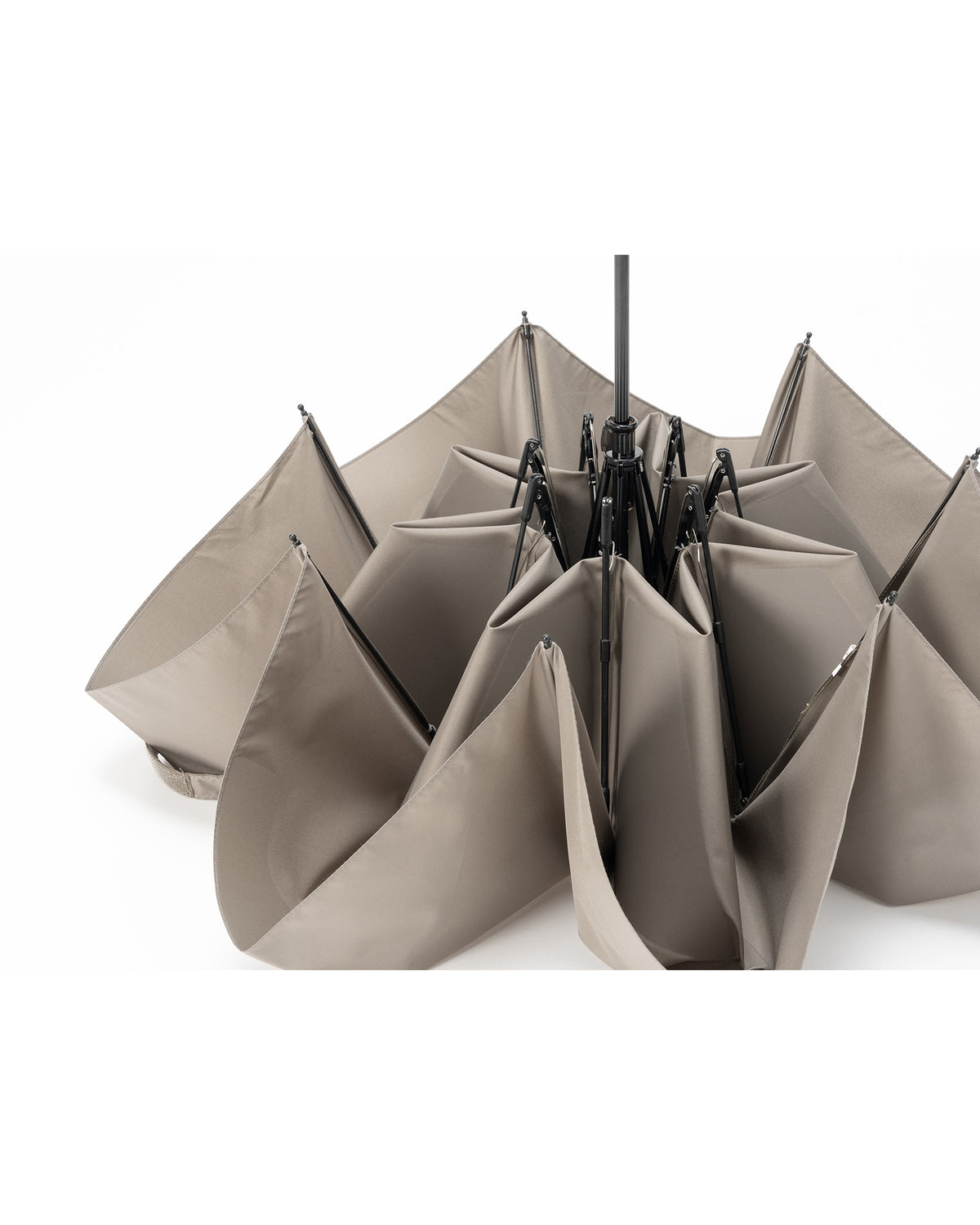 Urban Umbrella