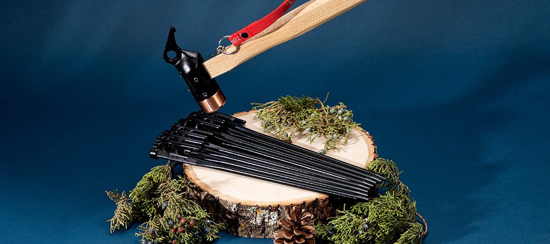 ⁣⁢Vacances 2021 : Sélection Snow Peaker⁤⁣