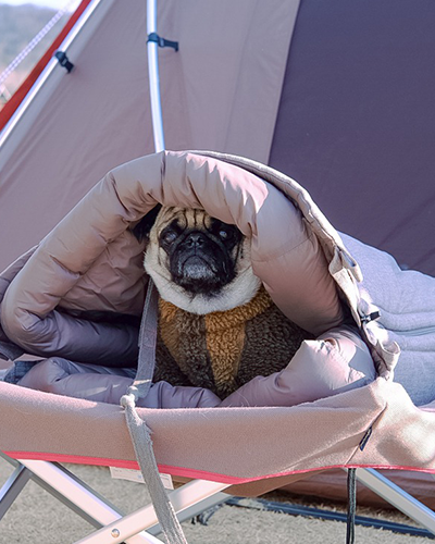 ⁣⁢Sac De Couchage Pour Chien⁤⁣